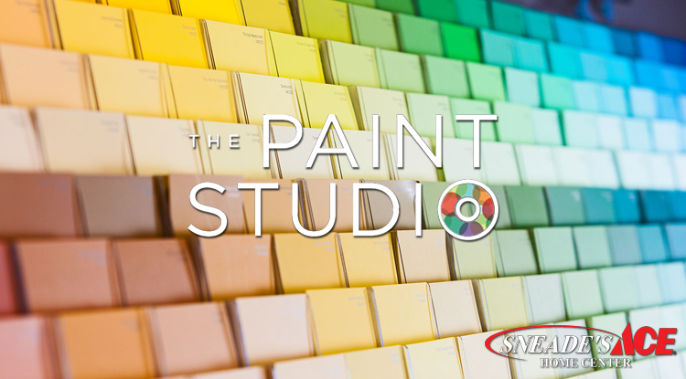paint studio featured