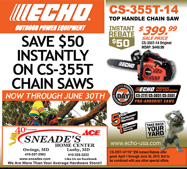 echo chain saw rebate 2015