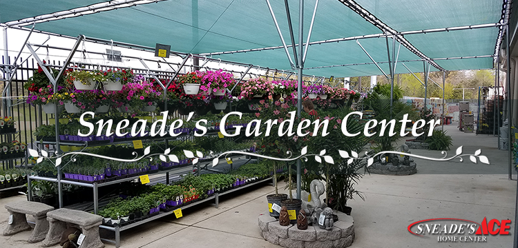Garden Center Featured Image