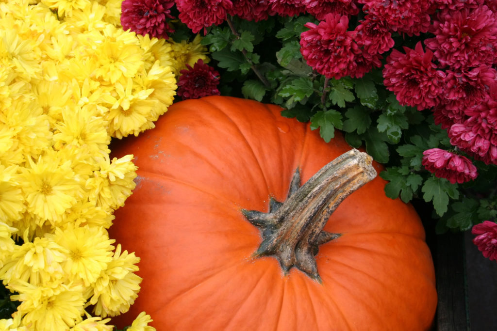 autumn display