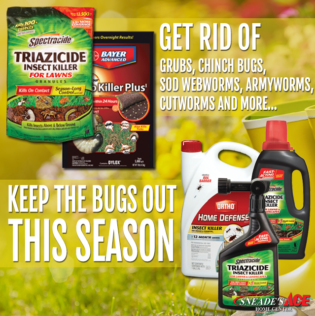 Keep the Pests Our of Your Lawn Featured Image