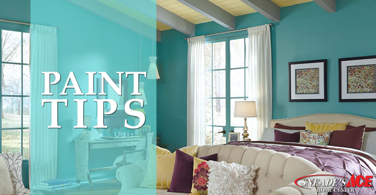 Sneades Paint Tips Featured