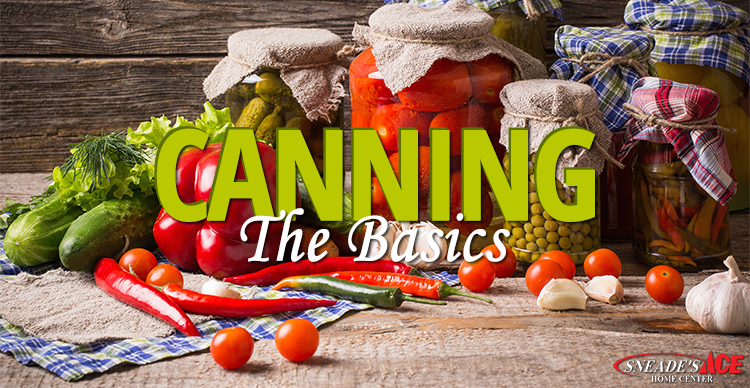 canning the basics featured