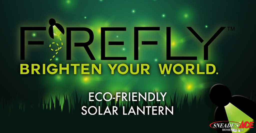 Firefly Lantern Facebook