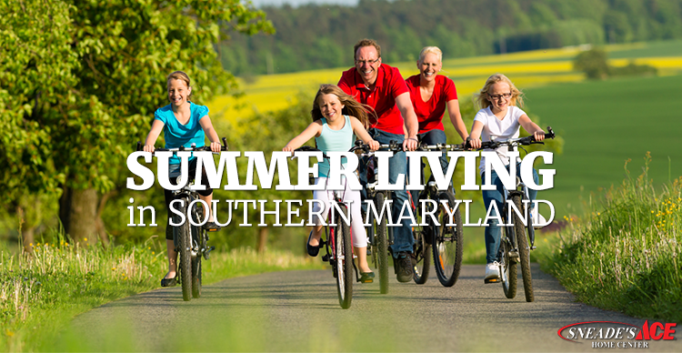 summer living in southern maryland featured image
