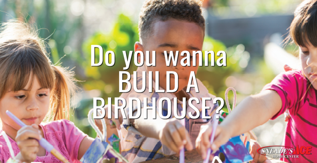 Build a Birdhouse featured image