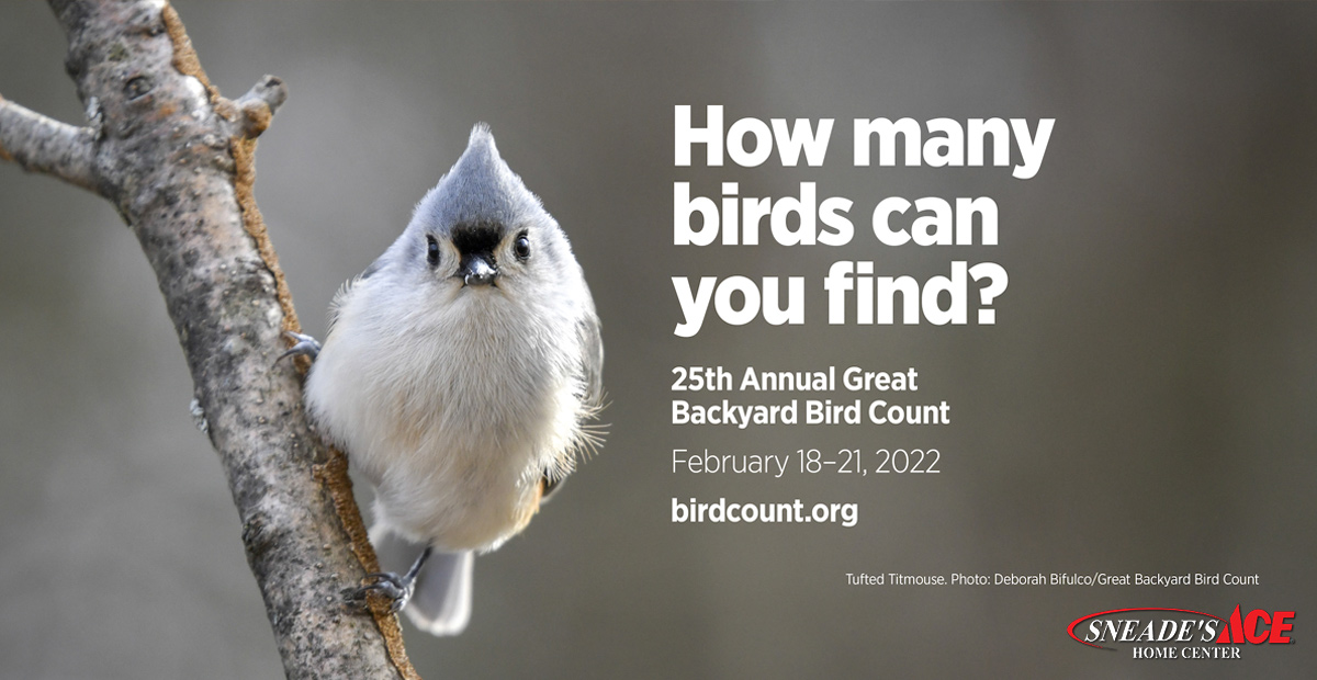 The Great Backyard Bird Count with Audubon Sneades Ace Home Centers