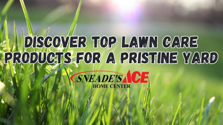 Discover Sneade’s Ace Home Center’s Top Lawn Care Products for a Pristine Yard